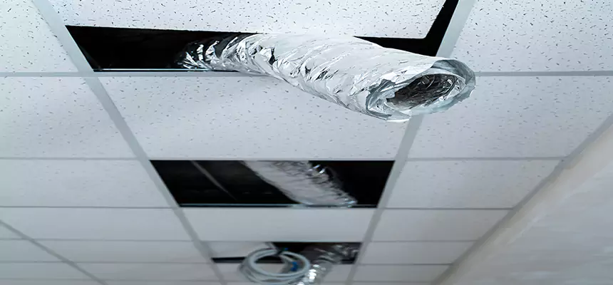 Our Air Duct Pet Hair Removal Services in Jasmine Estates, FL