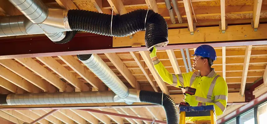 Replacing a Dryer Hose in Jasmine Estates, FL