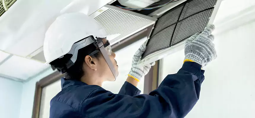 Our Mold & Mildew Removal from Air Ducts Services in Jasmine Estates, FL