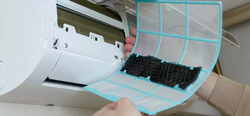 Gentle Ductwork Odor-Control Pet Dander Duct Cleaning in Jasmine Estates, FL