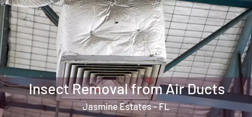  Insect Removal from Air Ducts Jasmine Estates - FL