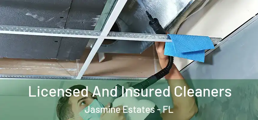  Licensed And Insured Cleaners Jasmine Estates - FL