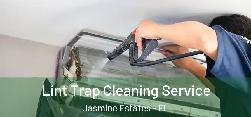  Lint Trap Cleaning Service Jasmine Estates - FL
