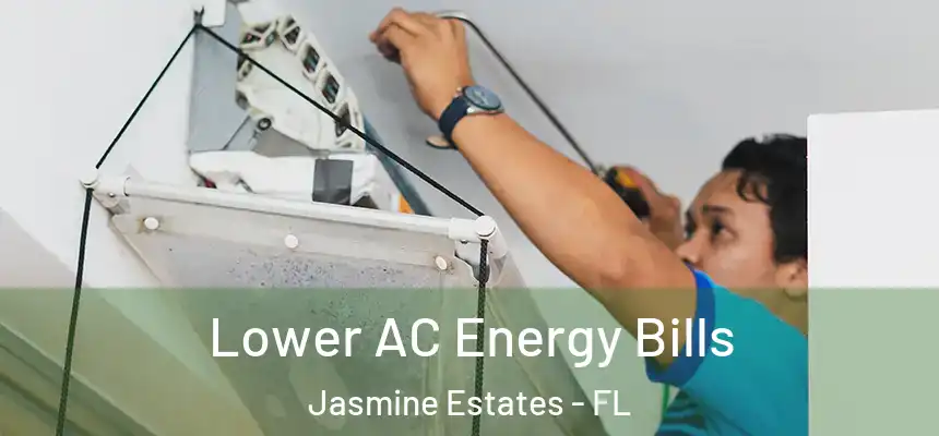  Lower AC Energy Bills Jasmine Estates - FL