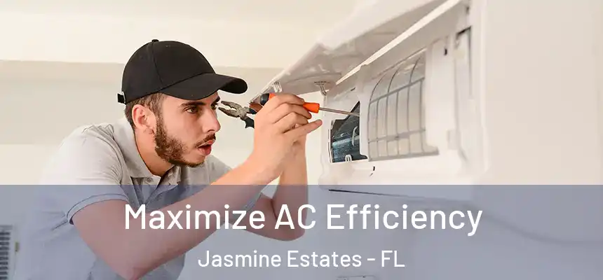  Maximize AC Efficiency Jasmine Estates - FL