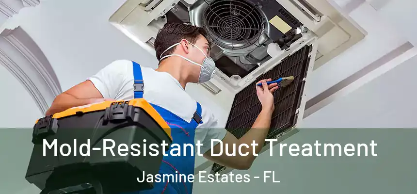 Mold-Resistant Duct Treatment Jasmine Estates - FL