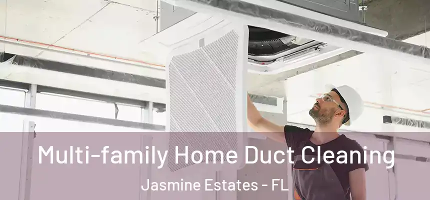 Multi-family Home Duct Cleaning Jasmine Estates - FL