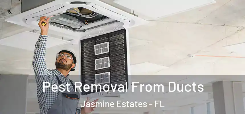 Pest Removal From Ducts Jasmine Estates - FL