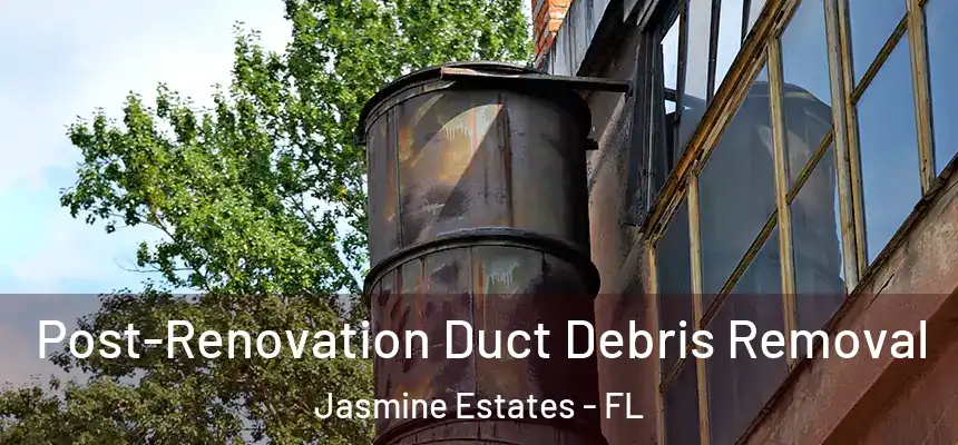  Post-Renovation Duct Debris Removal Jasmine Estates - FL