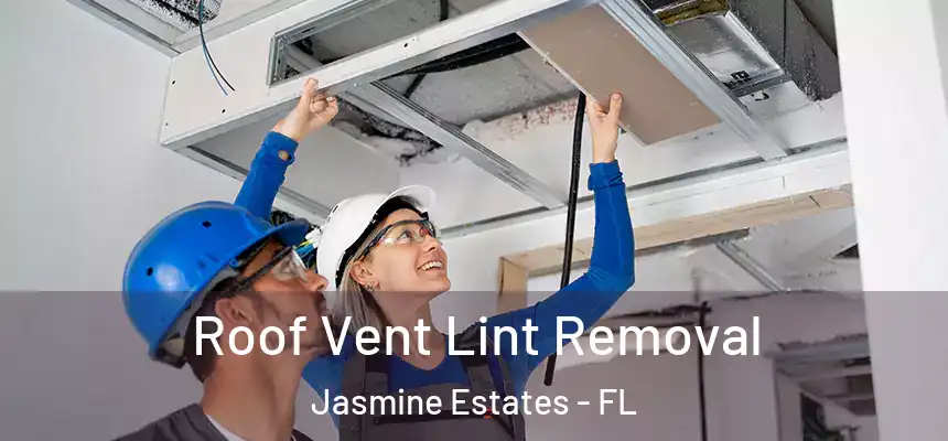  Roof Vent Lint Removal Jasmine Estates - FL