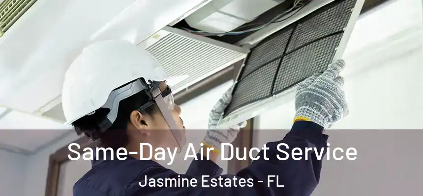  Same-Day Air Duct Service Jasmine Estates - FL