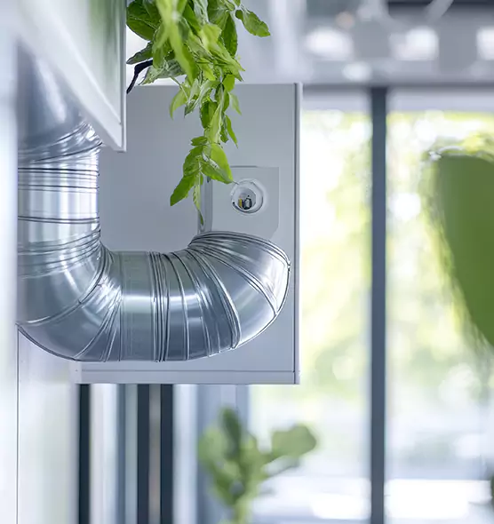 Professional Eco-Friendly Duct Cleaning Services in Jasmine Estates, FL