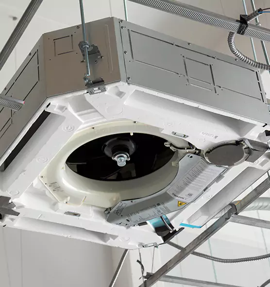 Professional Industrial Dryer Vent Cleaning in Jasmine Estates, FL