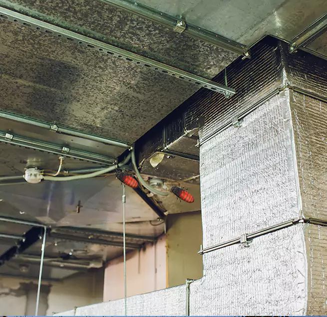 Why Homeowners & Businesses Trust Us in Jasmine Estates, FL?