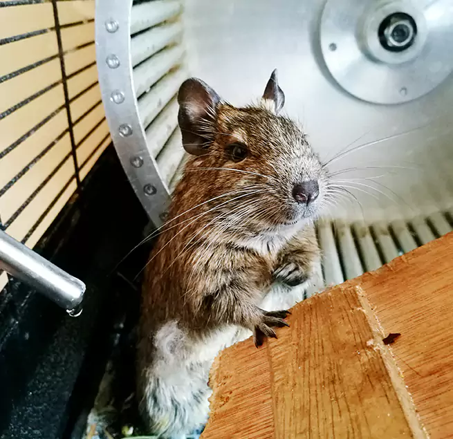 Why Homeowners & Businesses Trust Us Jasmine Estates, FL