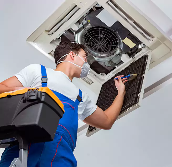 Why Homeowners & Businesses Trust Us in Jasmine Estates, FL