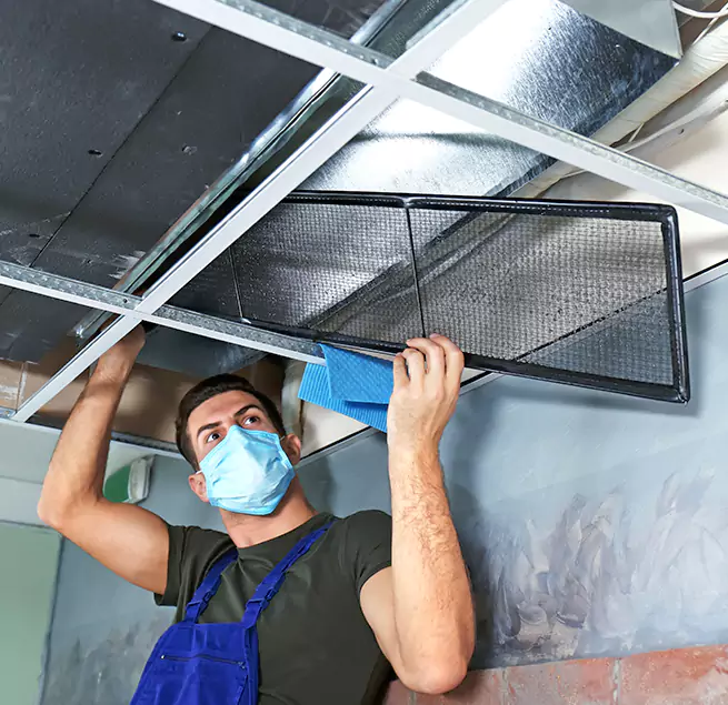  Why Homeowners Businesses Trust Us  in Jasmine Estates, FL?