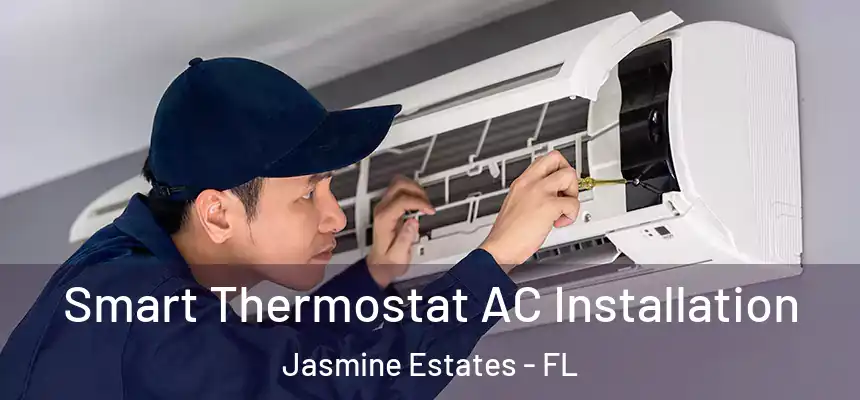  Smart Thermostat AC Installation Jasmine Estates - FL