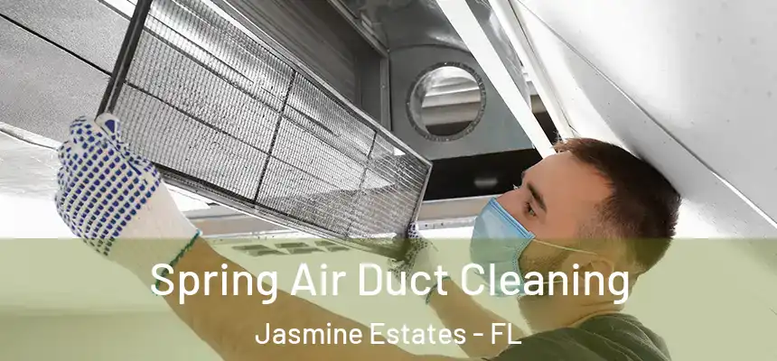 Spring Air Duct Cleaning Jasmine Estates - FL