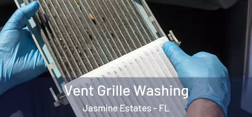  Vent Grille Washing Jasmine Estates - FL