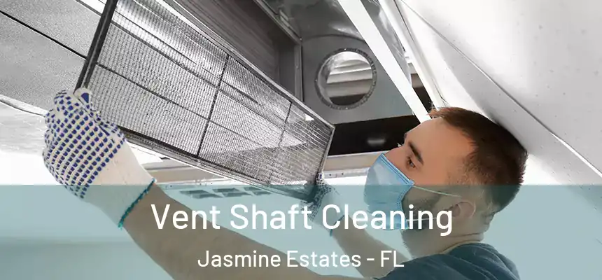 Vent Shaft Cleaning Jasmine Estates - FL