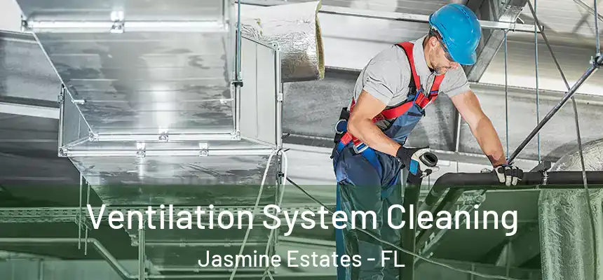 Ventilation System Cleaning Jasmine Estates - FL