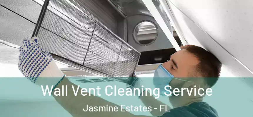  Wall Vent Cleaning Service Jasmine Estates - FL