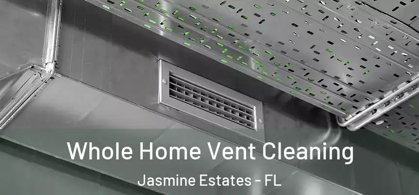 Whole Home Vent Cleaning Jasmine Estates - FL
