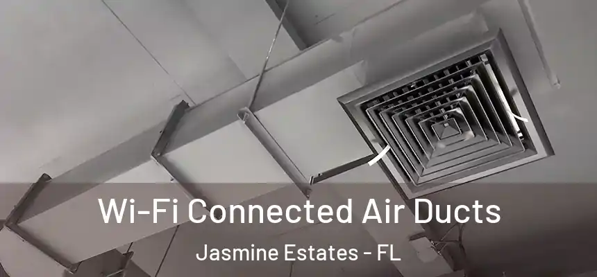 Wi-Fi Connected Air Ducts Jasmine Estates - FL